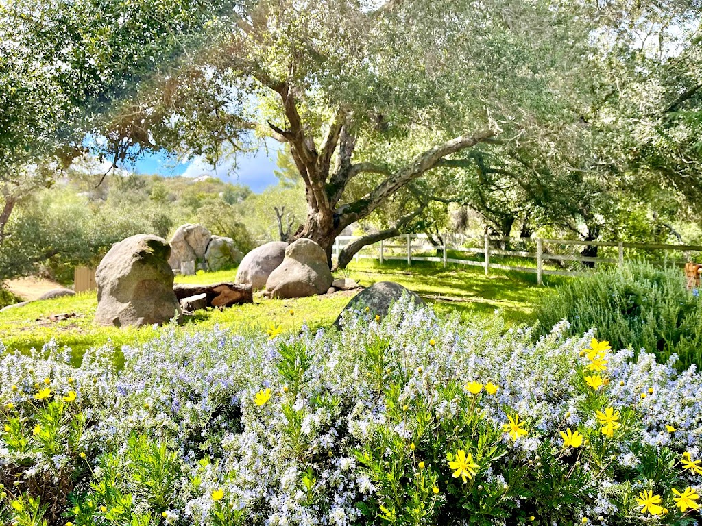 Mountain Retreat | 17753 Dos Picos Park Rd, Ramona, CA 92065, USA | Phone: (760) 440-8881