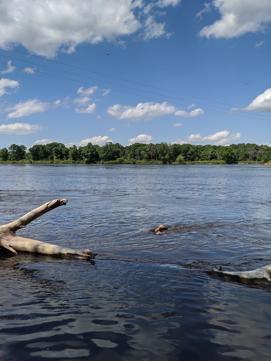 Pine Island State Wildlife Area | 609 W Cook St, Portage, WI 53901, USA | Phone: (888) 936-7463