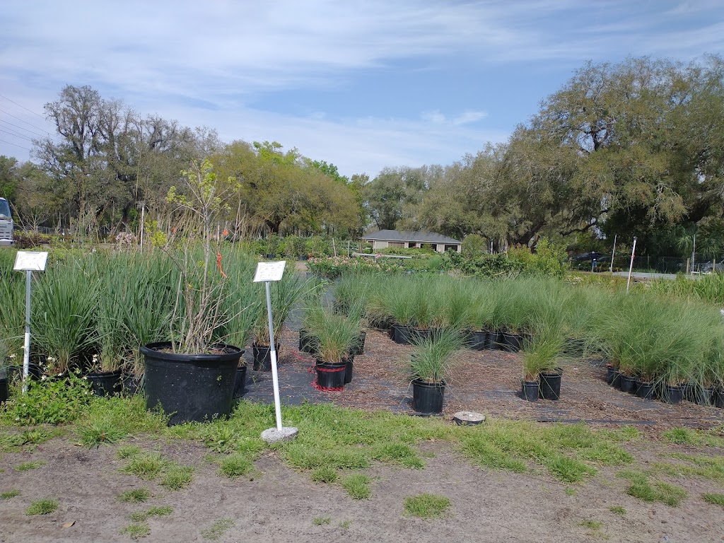 Williams Plant Nursery | 12411 Philips Hwy, Jacksonville, FL 32256, USA | Phone: (904) 292-0354