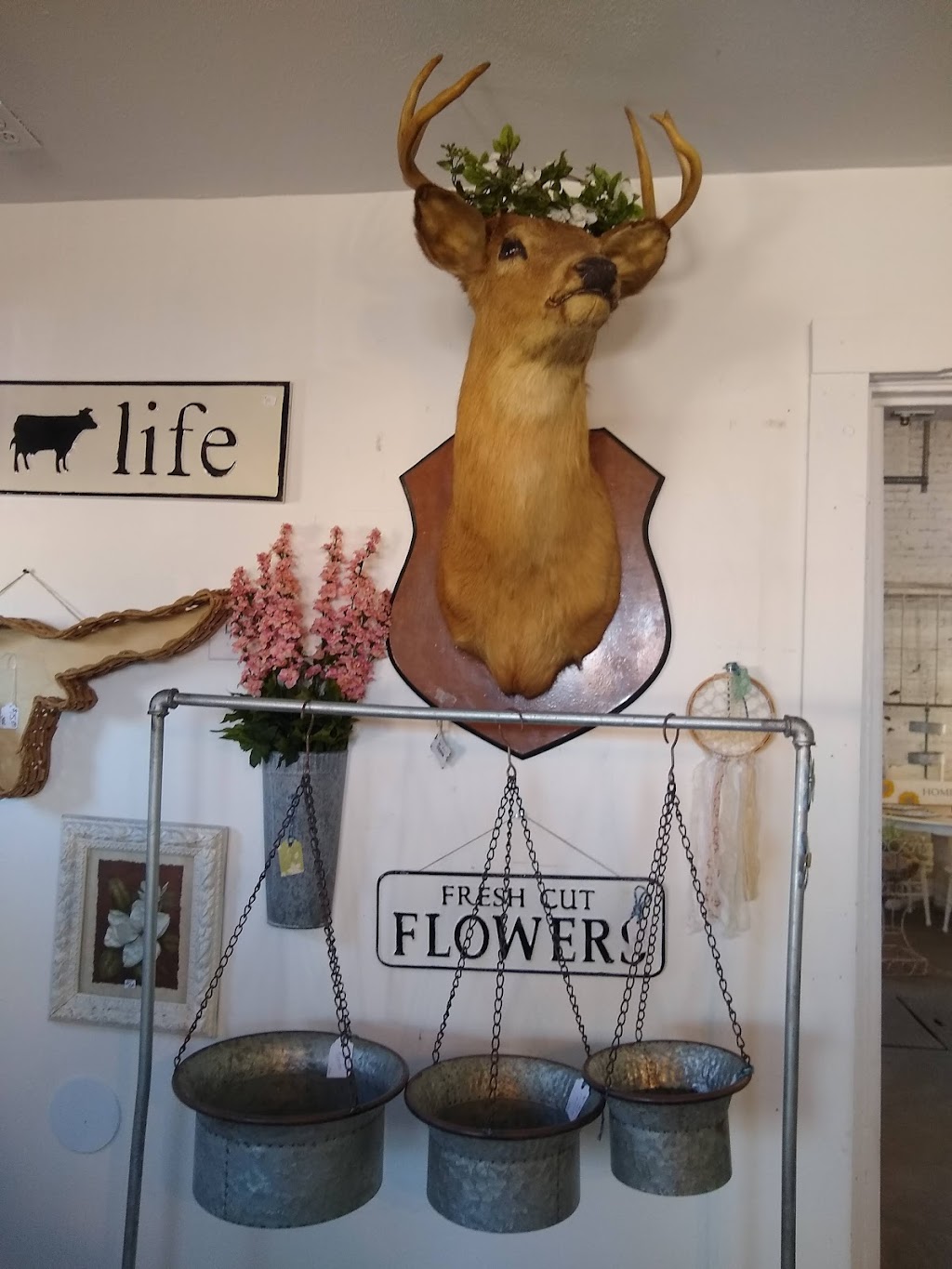 Vintage 71 | 813 N Main St, Edwardsville, IL 62025, USA | Phone: (618) 307-9949