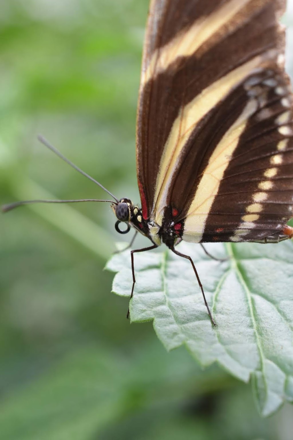 Butterfly Conservatory Parking | 2565 Niagara Pkwy, Niagara-on-the-Lake, ON L0S 1J0, Canada | Phone: (905) 358-0025