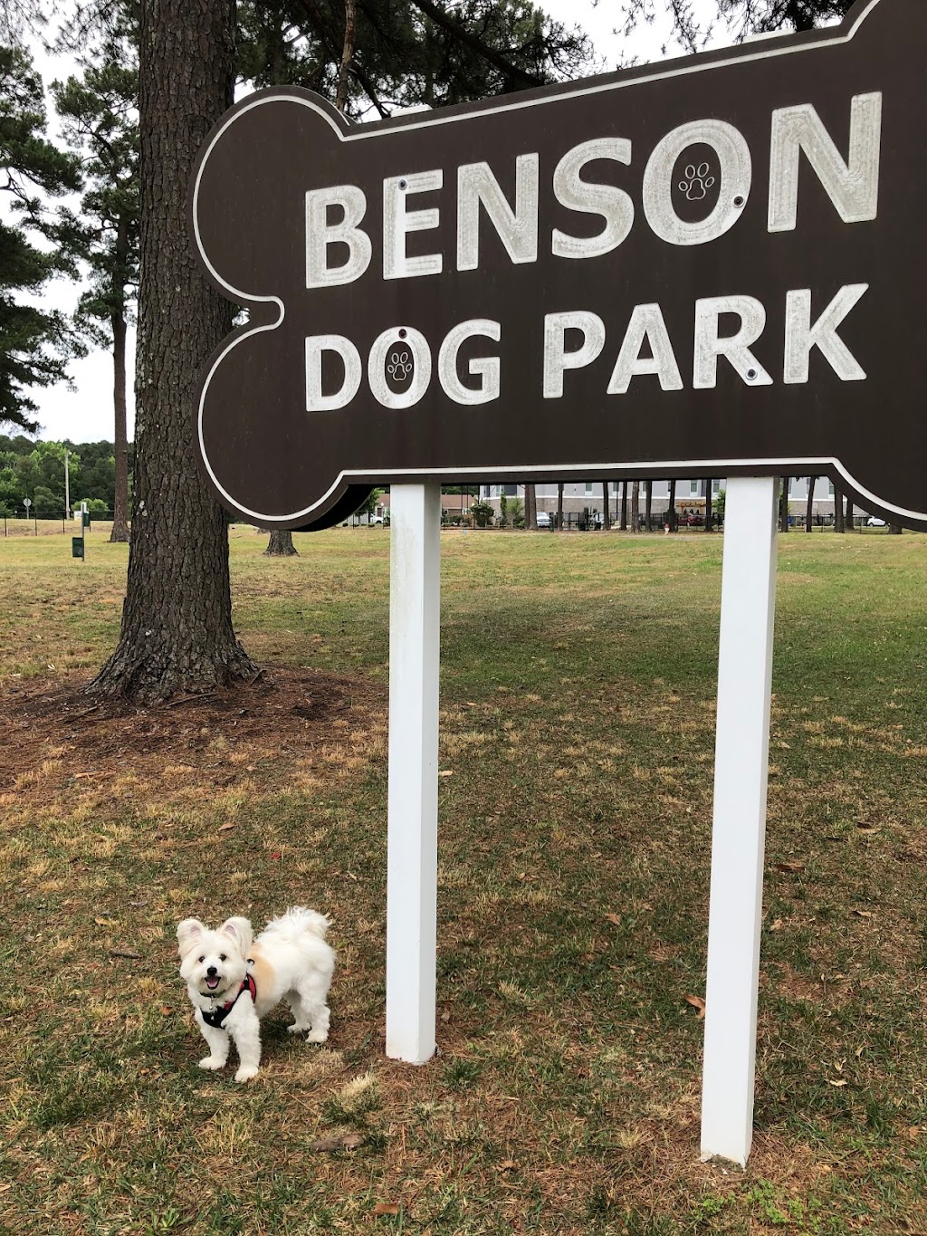Benson Dog Park | Benson, NC 27504, USA | Phone: (919) 894-3553