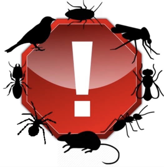 Dixon Pest Control | 13829 Park Ave Unit 100, Victorville, CA 92392, USA | Phone: (760) 381-8800