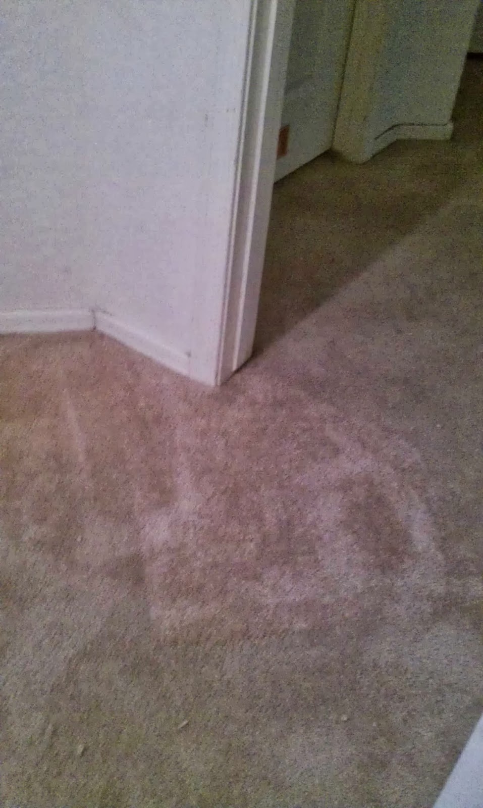 Indianapolis Carpet Repair | 1423 Brewster Rd, Indianapolis, IN 46260, USA | Phone: (317) 207-0212