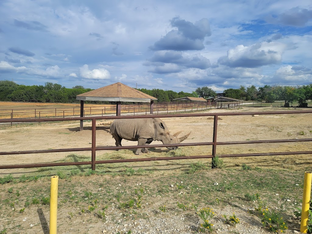 Fossil Rim Wildlife Center-Childrens Animal Center | 1789 Co Rd 2009, Glen Rose, TX 76043, USA | Phone: (254) 897-2960