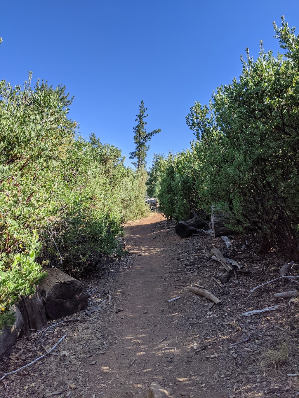 Stonewall Peak | Stonewall Peak Trail, Julian, CA 92036, USA | Phone: (760) 765-0755