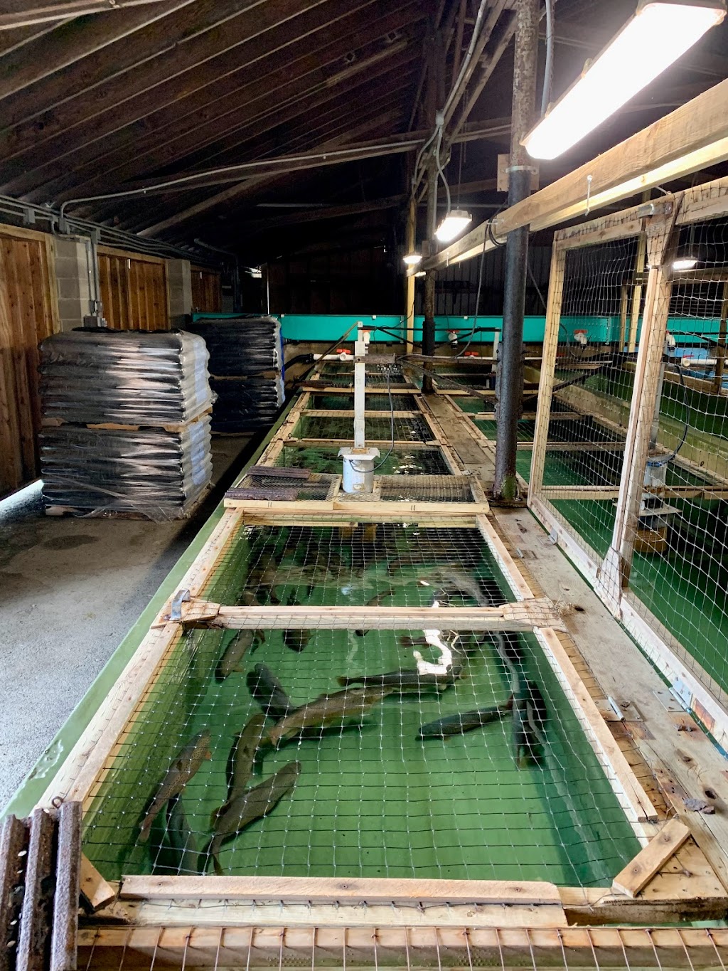 Catskill Fish Hatchery - NYS DEC | 402 Mongaup Rd, Livingston Manor, NY 12758, USA | Phone: (845) 439-4328