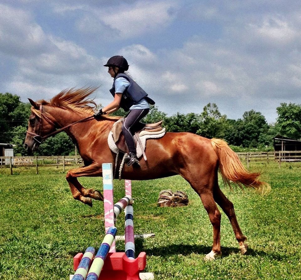 Creekside Riding Academy & Stables | 2359 Lewisburg Pike, Franklin, TN 37064, USA | Phone: (615) 595-7547