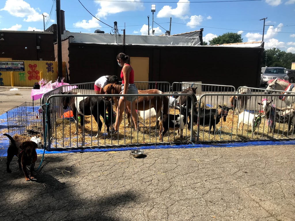 Ponies "R" Us & Mobile Petting Zoo | 28400 Grix Rd, New Boston, MI 48164, USA | Phone: (734) 740-5831