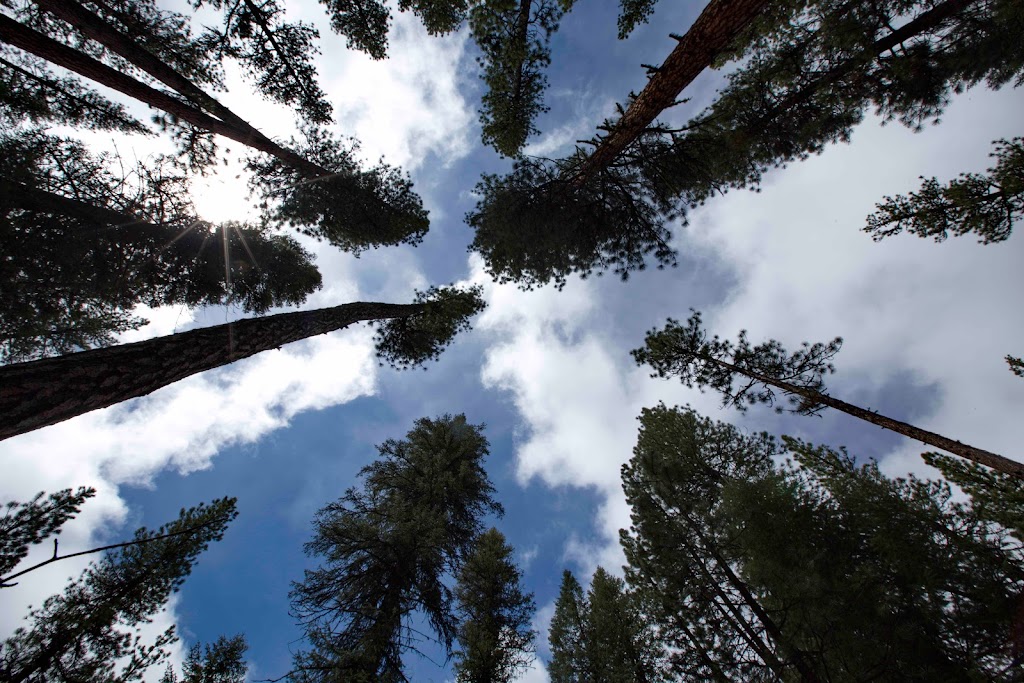 Park Creek Campground | Boise National Forest, Forest Road #582A, Lowman, ID 83637, USA | Phone: (877) 444-6777