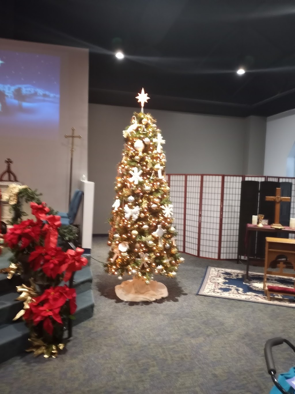 Christ Church Jacksonville Anglican | 9917 103rd St, Jacksonville, FL 32210, USA | Phone: (904) 771-6723