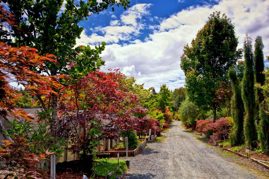 Woods Creek Nursery | 21008 Woods Creek Rd, Monroe, WA 98272, USA | Phone: (360) 794-6823