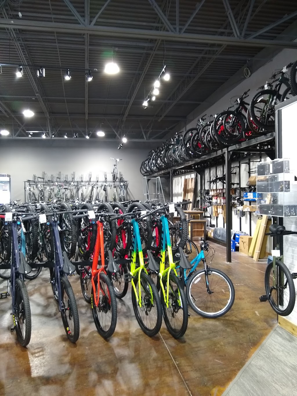 Bike Mart | 1451 W Campbell Rd, Richardson, TX 75080, USA | Phone: (972) 231-3993