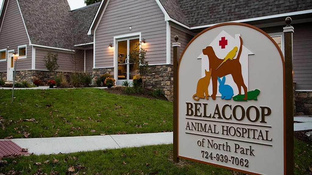 BelaCoop Animal Hospital of North Park | 2232 W Hardies Rd, Gibsonia, PA 15044, USA | Phone: (724) 939-7062