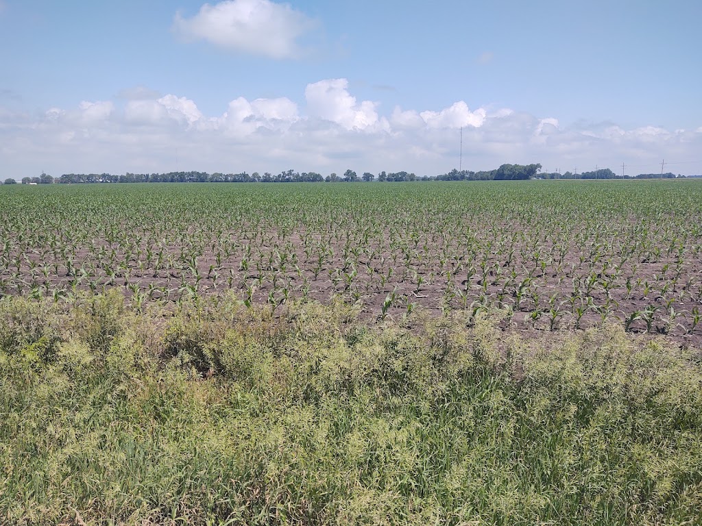 Overland Trail Recreation Area | Road O and, Rd 10, York, NE 68467, USA | Phone: (402) 362-6601