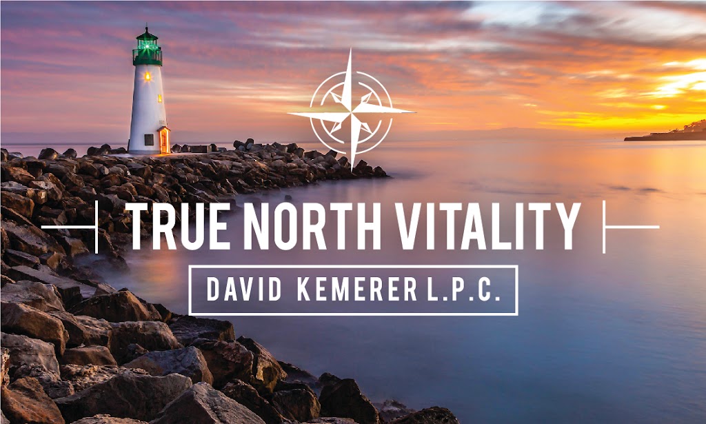 True North Vitality - Dave Kemerer, LPC | 113 Alwine Ave, Greensburg, PA 15601 | Phone: (412) 303-2461