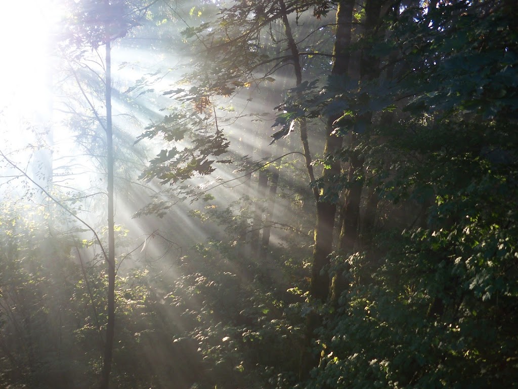 Beam of Loving Guidance | 43005 NE Grist Mill Rd, Woodland, WA 98674, USA | Phone: (360) 609-0493