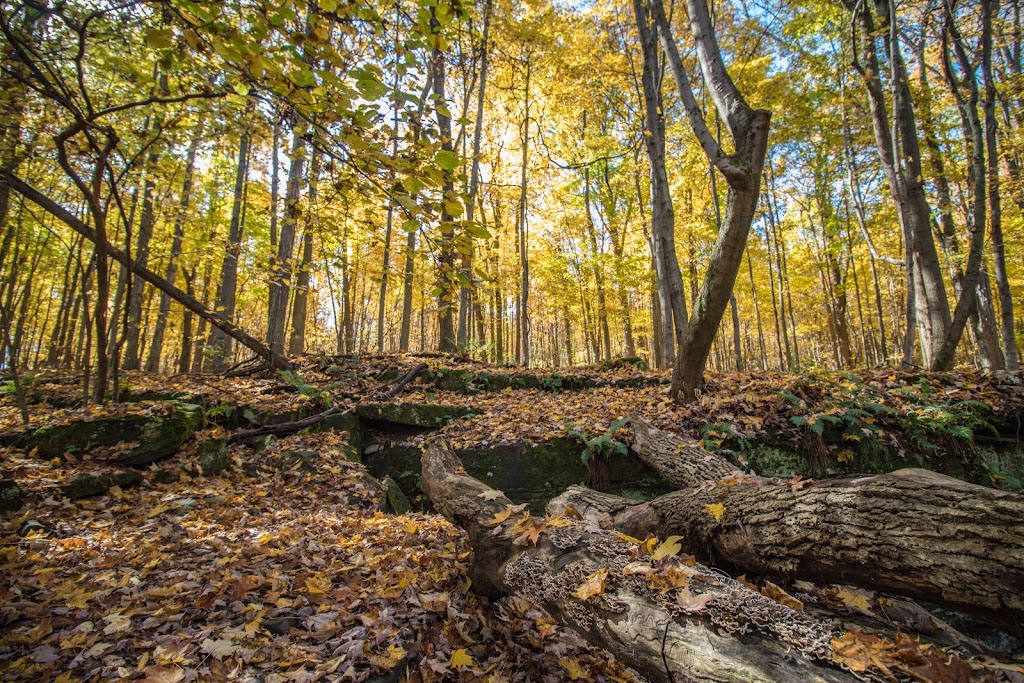 Wordens Ledges | Wordens Ledges Loop Trail, Hinckley, OH 44233, USA | Phone: (216) 635-3200