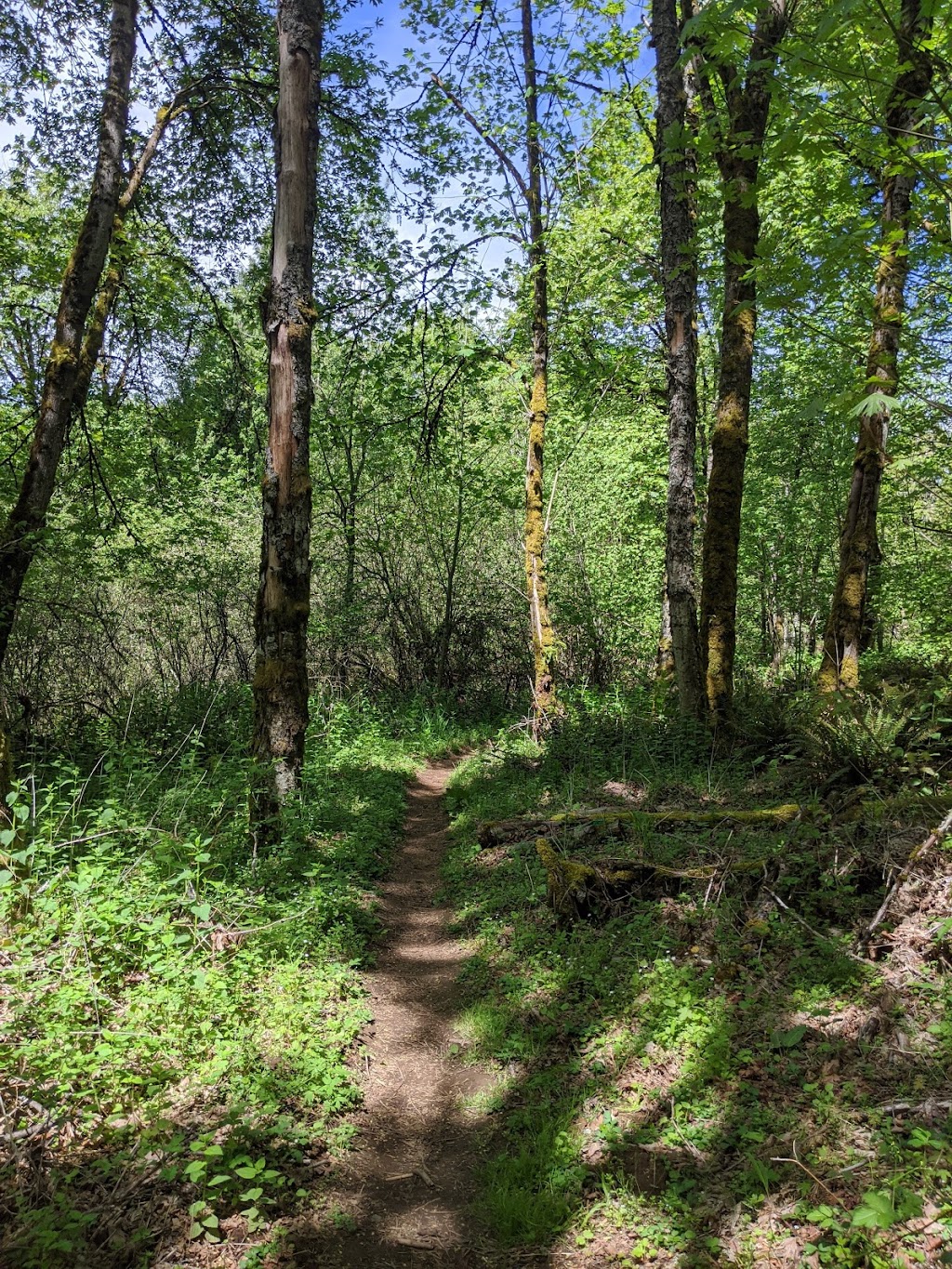 Jenne Butte Park | 2358 SW Border Way, Gresham, OR 97080, USA | Phone: (503) 618-2300