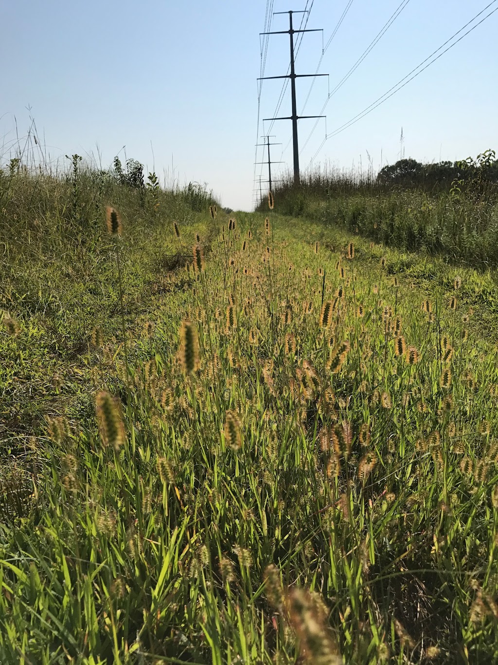 Nine-Mile Prairie Historical Marker | Lincoln, NE 68524, USA | Phone: (402) 472-3471