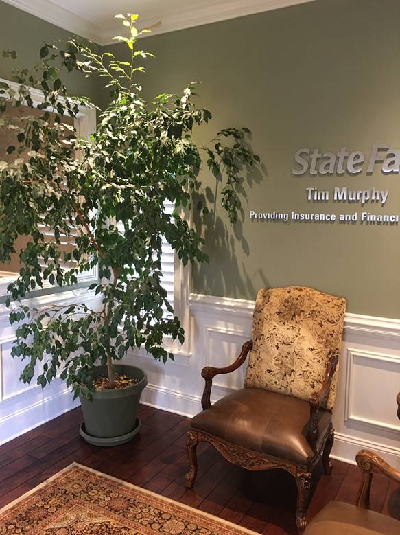 Tim Murphy - State Farm Insurance Agent | 140 Gateway Cir UNIT 1, Jacksonville, FL 32259, USA | Phone: (904) 230-3310