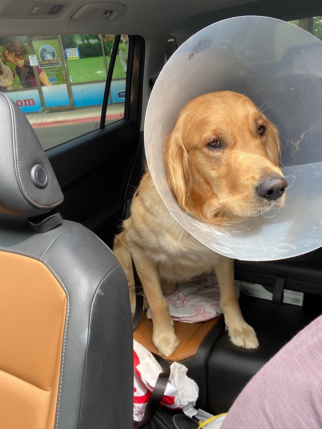 Eastgate Pet Clinic | 626 E Boise Ave, Boise, ID 83706, USA | Phone: (208) 336-3278