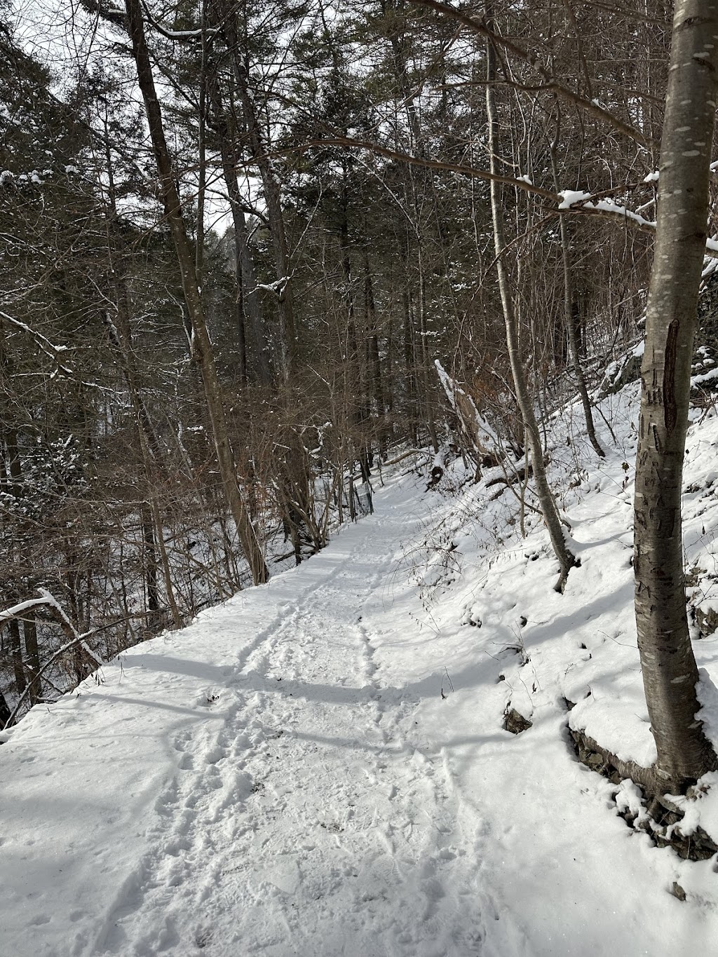 Lakeside Counseling Associates, LLC | 9 Fishers Ln E, Sparta, NJ 07871, USA | Phone: (973) 726-4533