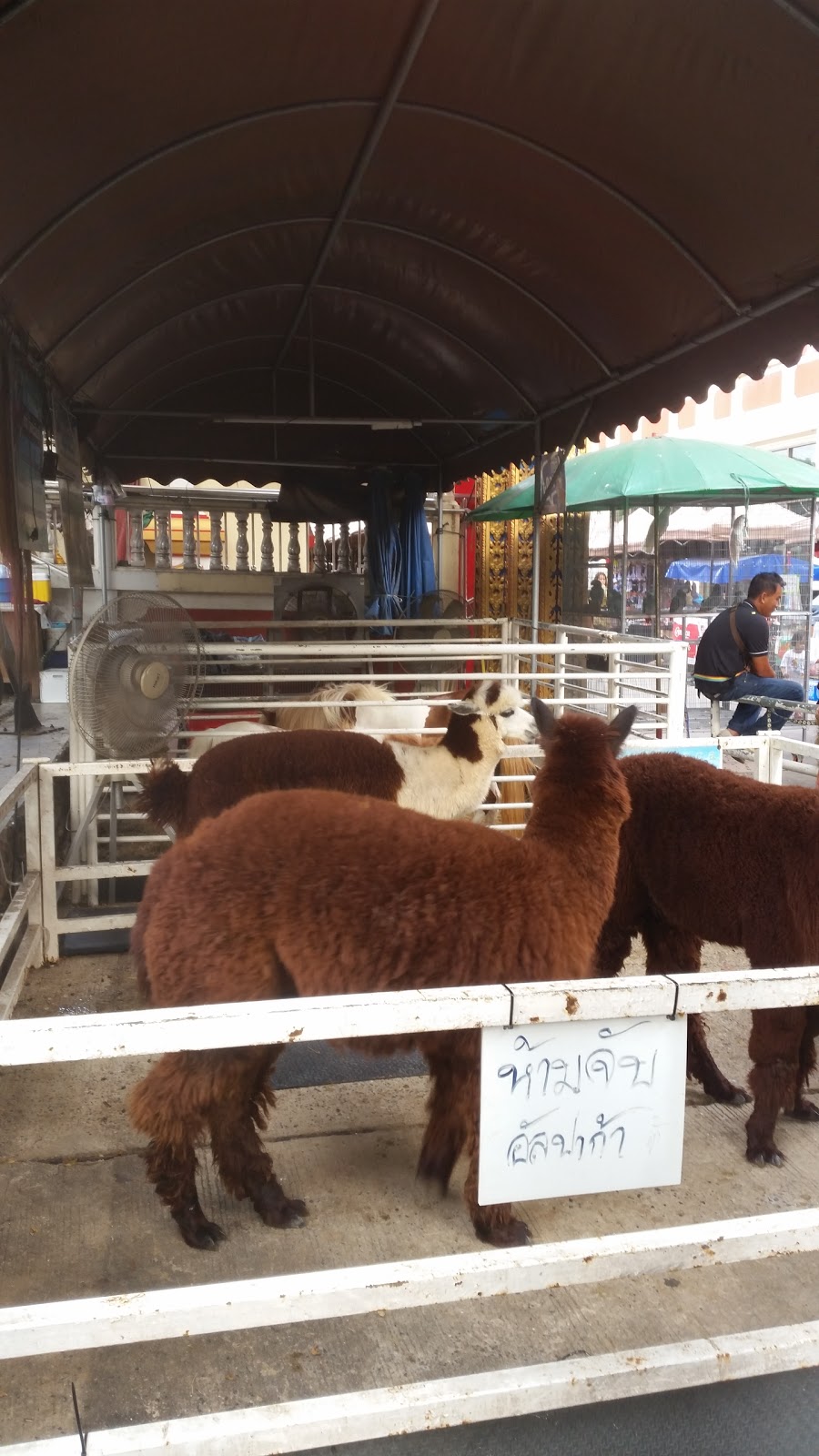 Kwan-Riam Floating Market | 45 Soi Ramkhamhaeng 185, Khwaeng Min Buri, Khet Min Buri, Krung Thep Maha Nakhon 10510, Thailand | Phone: 081 357 1545