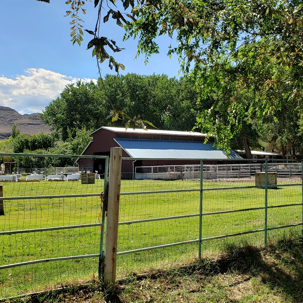 Indian Springs Ranch Nevada | 275 Winston Ln 275 East, Indian Springs, NV 89018, USA | Phone: (702) 234-8604