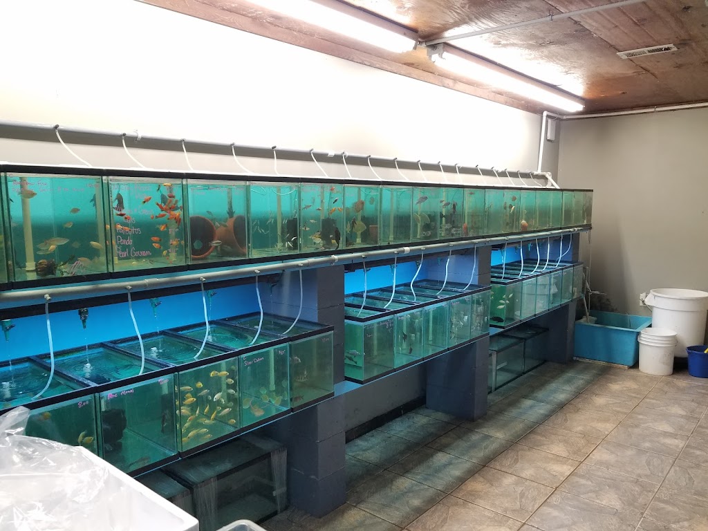 Consolidated Fish Farms Inc. | 10523 Tucker Jones Rd, Riverview, FL 33578, USA | Phone: (813) 658-8799