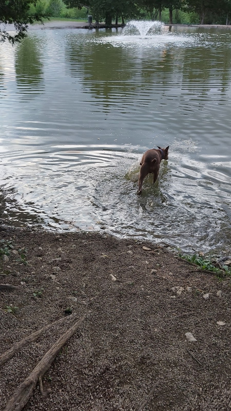 Broemmelsiek Park Off-Leash Dog Area | 1795 Hwy Dd, Defiance, MO 63341, USA | Phone: (636) 949-7535