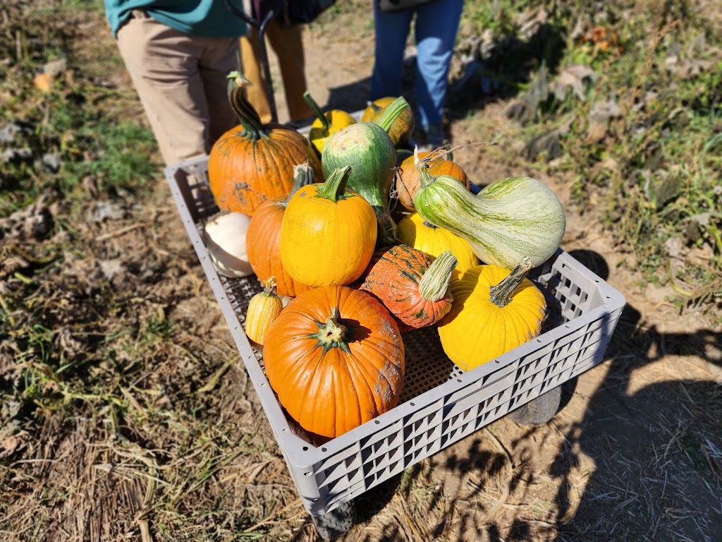 Garver Family Farm Market | 6716 Hamilton Lebanon Rd, Middletown, OH 45044, USA | Phone: (513) 539-6366