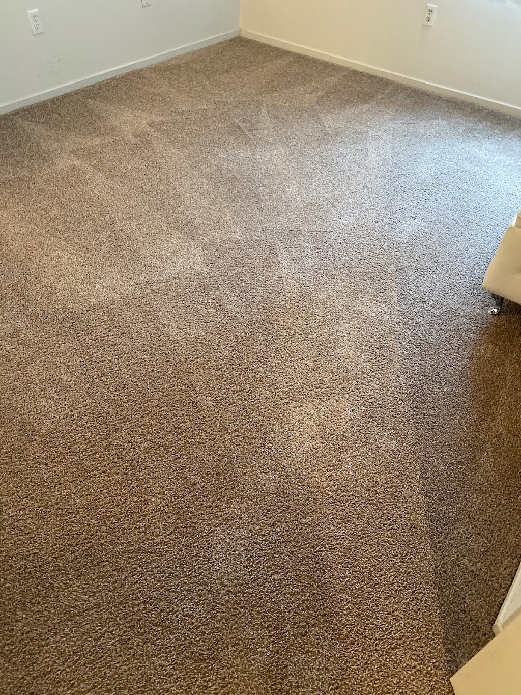 EVER/READY Carpet Cleaning | 267 E Hamlin Rd, Rochester Hills, MI 48307, USA | Phone: (248) 587-7331