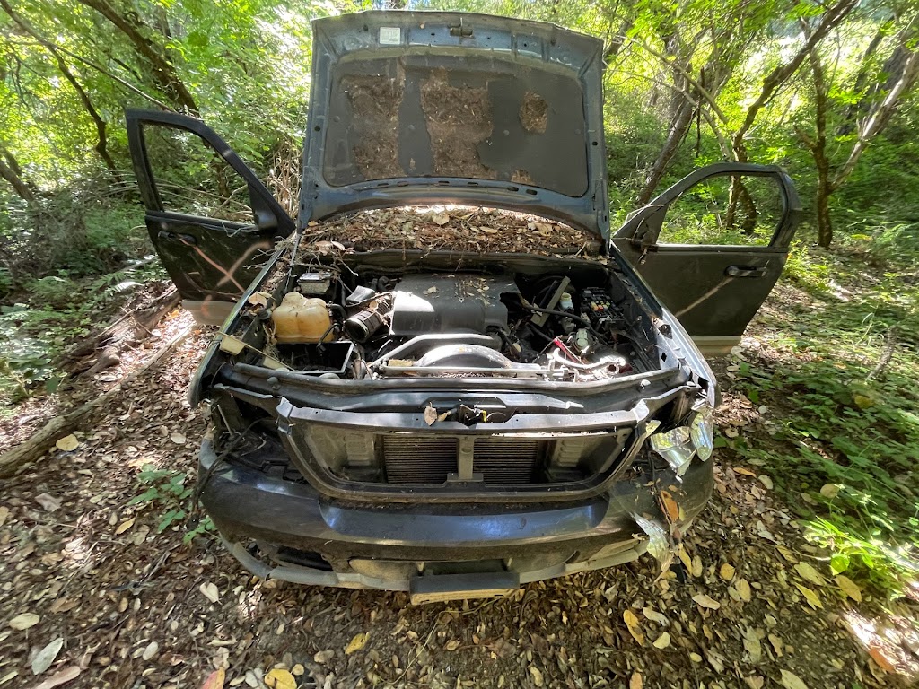 Waterman Gap Trail Camp | Skyline to the Sea Trail, Boulder Creek, CA 95006, USA | Phone: (831) 338-8861 Waterman Gap Trail Camp | Skyline to the Sea Trail, Boulder Creek, CA 95006, USA | Phone: (831) 338-8861