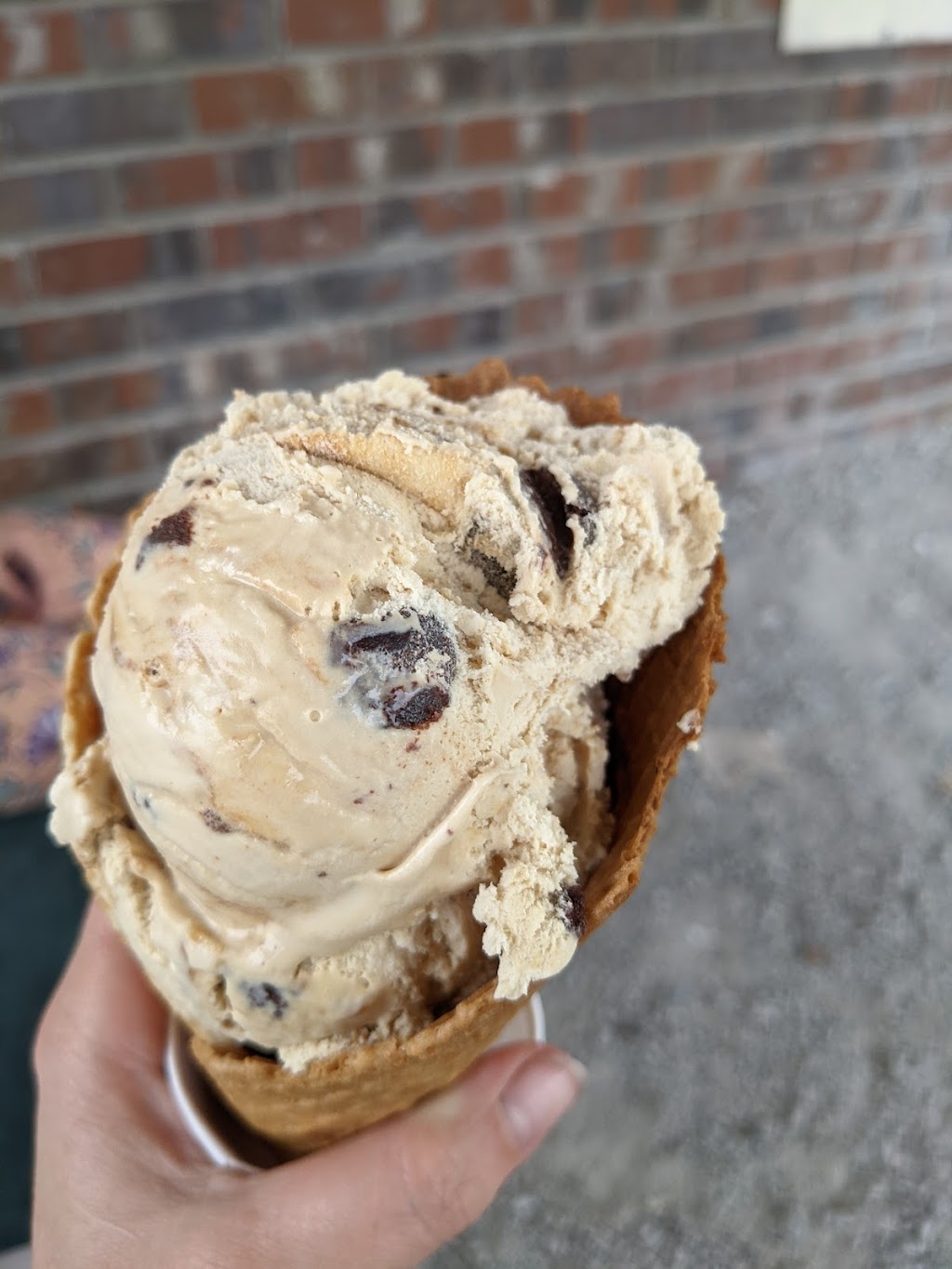 Cougar Cone | 118 E Main St, Albion, IN 46701, USA | Phone: (260) 636-2500