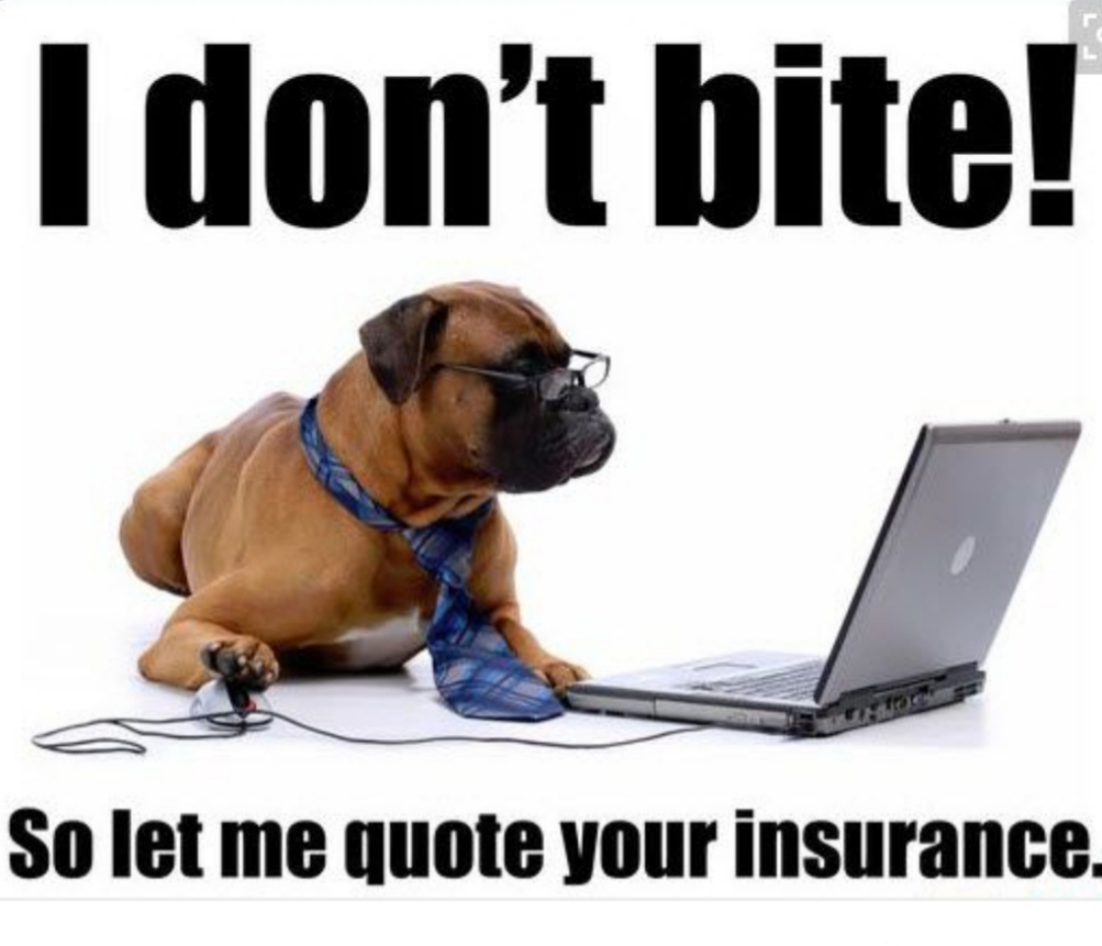 Insurance Partners LLC | N63W23565 Silver Spring Dr #510, Sussex, WI 53089, USA | Phone: (414) 416-1599