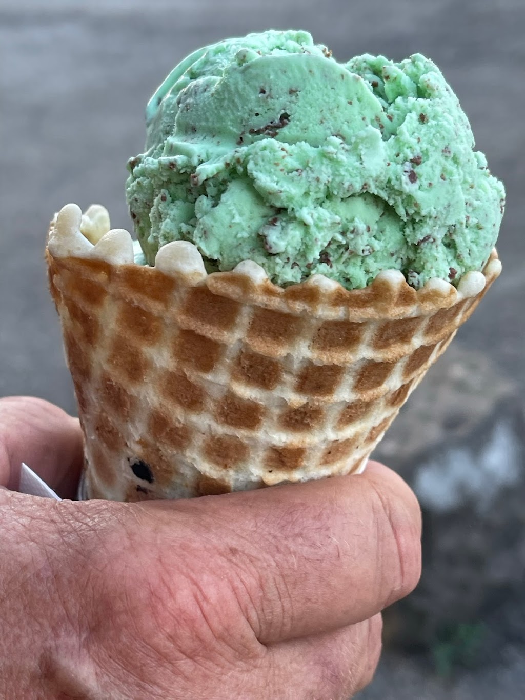 Barrys Ice Cream | 105 W Line Ave, Ellwood City, PA 16117, USA | Phone: (724) 758-1111