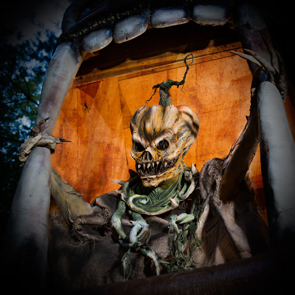 Night Terrors Haunted Farm | 4193 NY-7, Schoharie, NY 12157, USA | Phone: (518) 925-4698