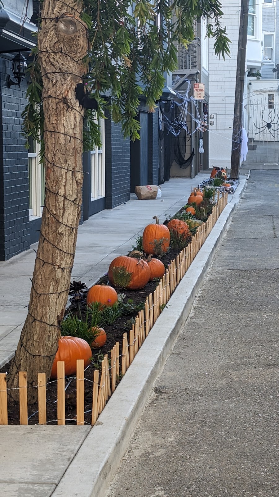 Elegant Cleaners | 1871 Hyde St, San Francisco, CA 94109, USA | Phone: (415) 474-4443