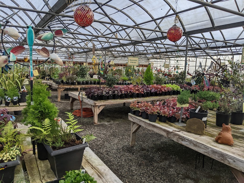 Edgewood Nursery & Garden | 11000 36th St E, Edgewood, WA 98372, USA | Phone: (206) 339-0170