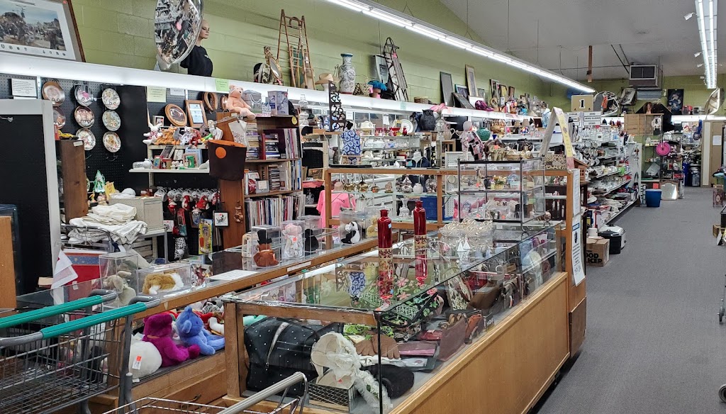 Auburn Valley Humane Soc Thrift Store & More | 1123 E Main St, Auburn, WA 98002, USA | Phone: (253) 545-0314