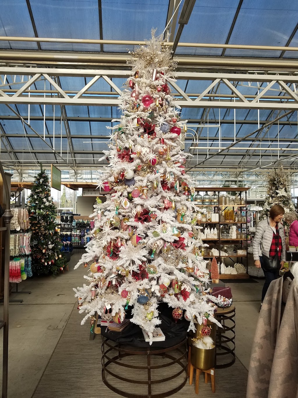 Watsons Greenhouse and Nursery | 6211 Pioneer Way E, Puyallup, WA 98371, USA | Phone: (253) 845-7359