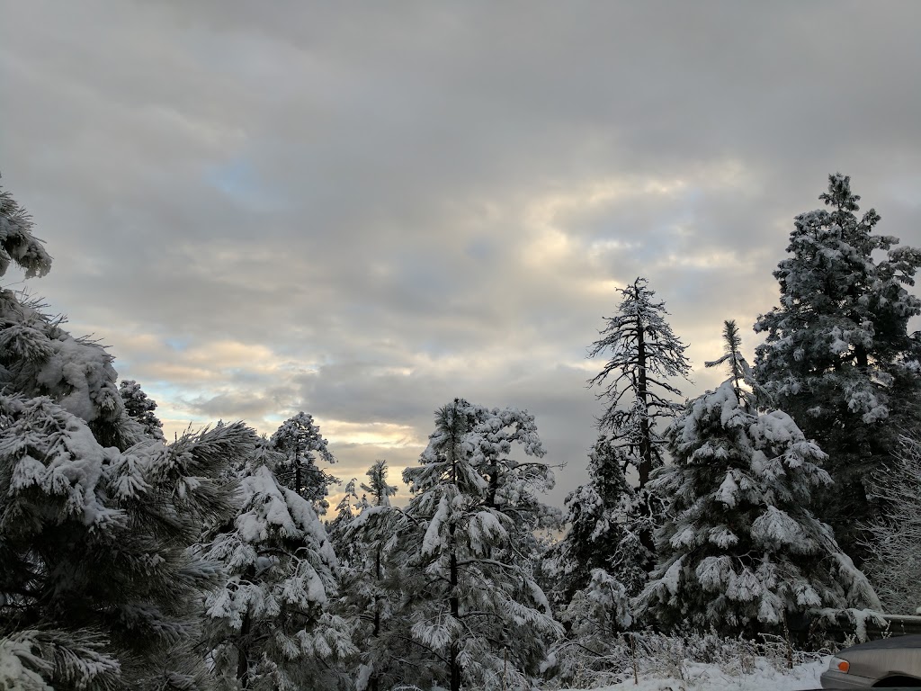 Box Camp Trailhead | Mt Lemmon Hwy, Mt Lemmon, AZ 85619, USA | Phone: (520) 749-8700