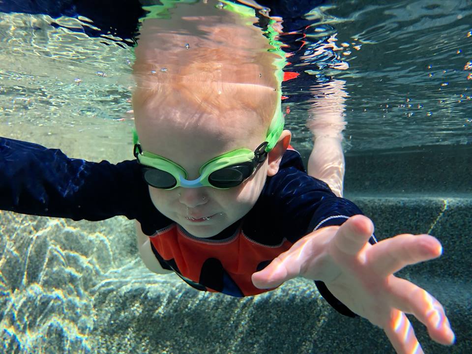 Amy’s Aquatics | 1913 Hamilton Dr, Flower Mound, TX 75028, USA | Phone: (972) 571-7220