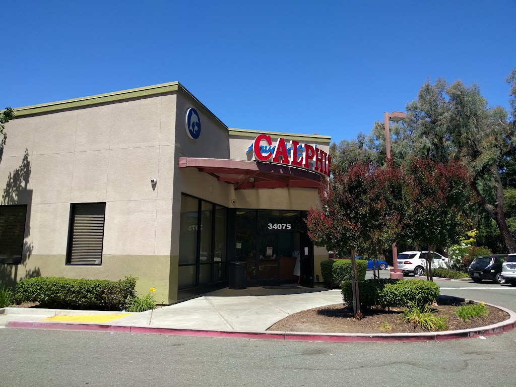 Calphin Swim Academy | 34075 Fremont Blvd, Fremont, CA 94555, USA | Phone: (510) 790-7946