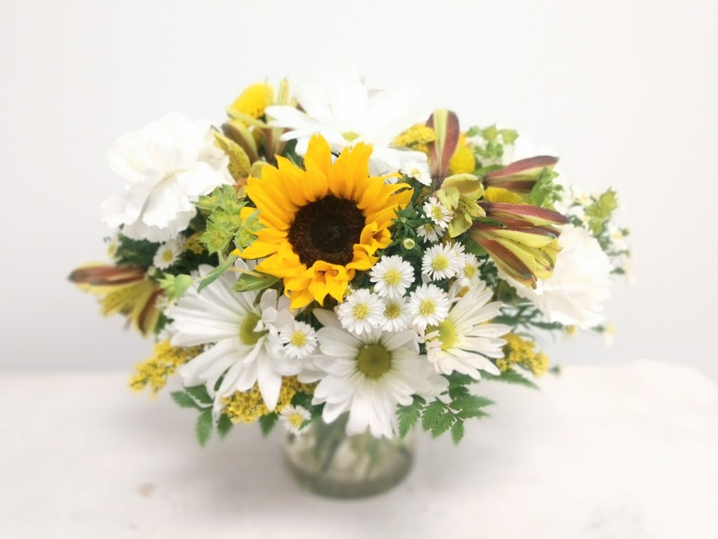 A Daisy A Day | 749 Silas Creek Pkwy, Winston-Salem, NC 27127, USA | Phone: (336) 723-1925