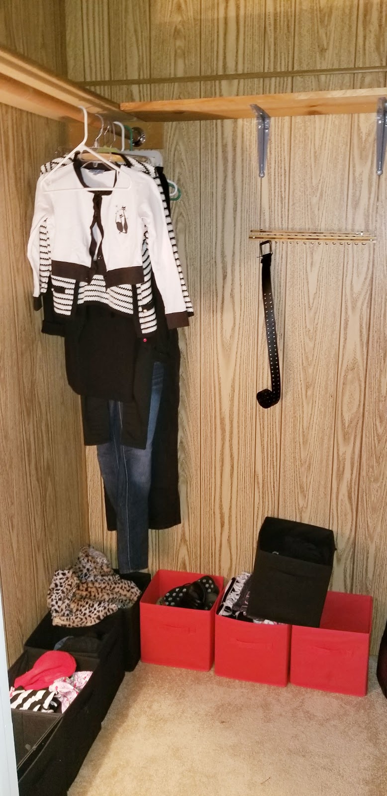 Chocolate Monkey | 650 Tilley Ln, San Marcos, CA 92078, USA | Phone: (760) 295-8333