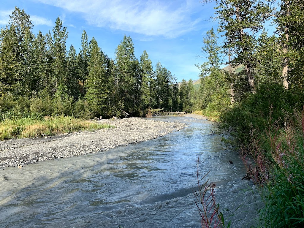 Bertha Creek Campground | Seward Hwy, Hope, AK 99605, USA | Phone: (907) 783-3242