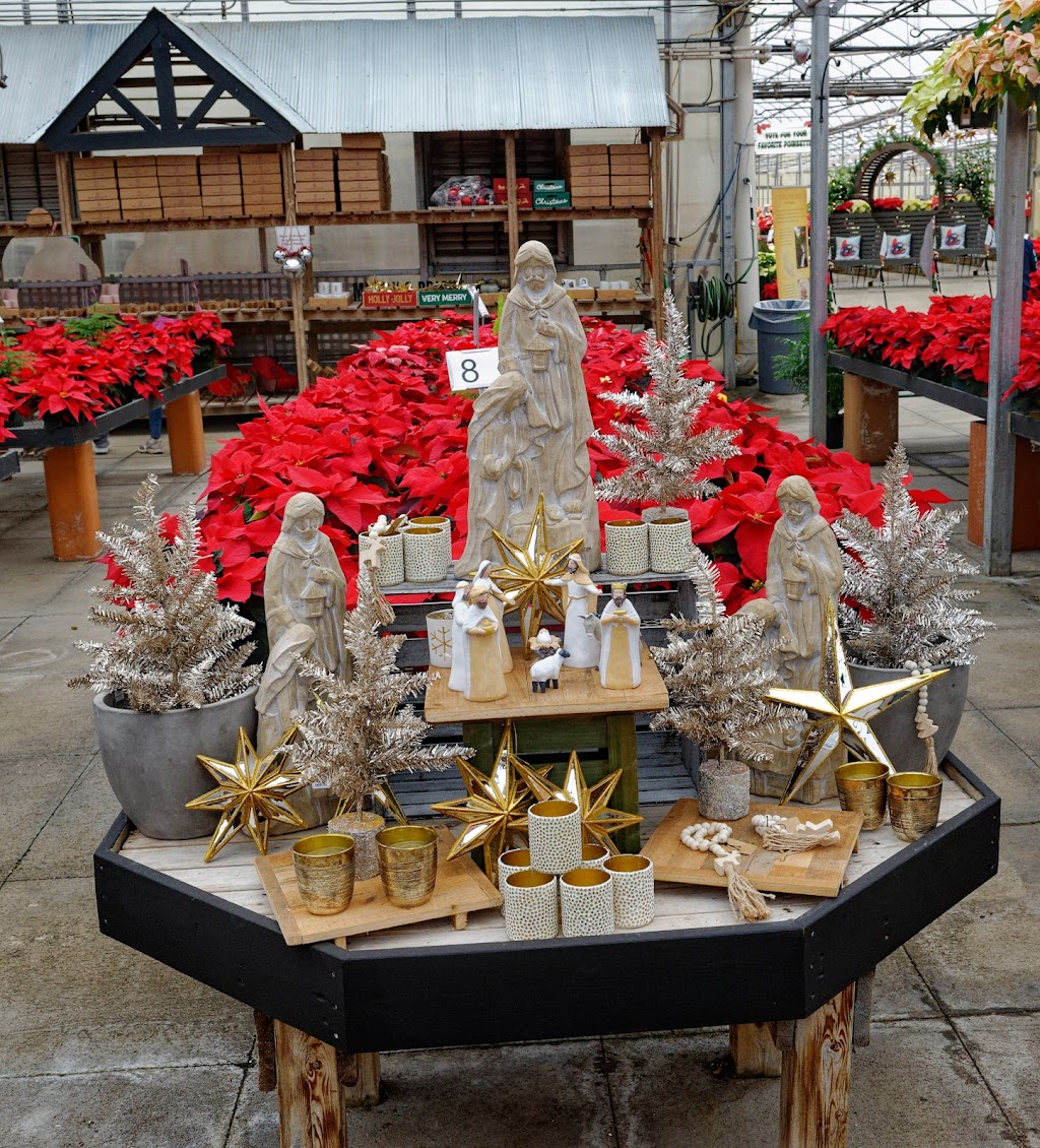 Homewood Nursery & Garden Center | 10809 Honeycutt Rd, Raleigh, NC 27614, USA | Phone: (919) 847-0117