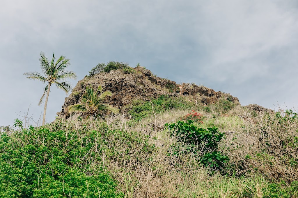 Active Oahu Tours | Kamehameha Hwy + Kualoa, Regional Park, HI 96744, USA | Phone: (808) 498-1894